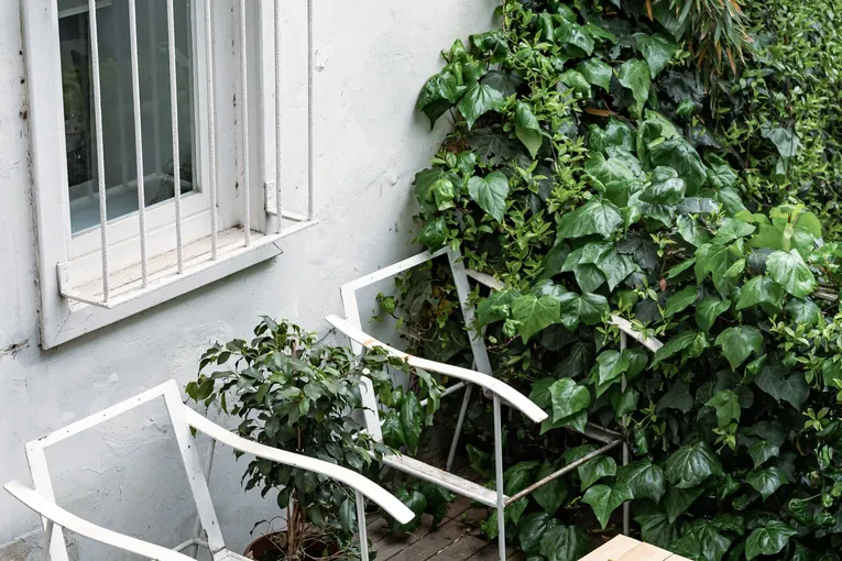 Serene outdoor patio scene with white chairs, wooden table, and lush greenery.